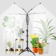 Full Spectrum Floor Lamp Plant Light for Indoor Plants